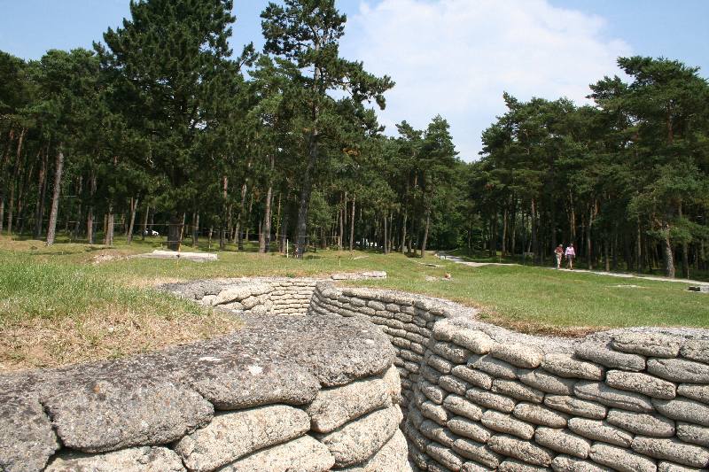 IMG 0291
