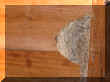 133-3361_IMG.JPG (26407 octets)