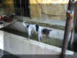 133-3368_IMG.JPG (47357 octets)