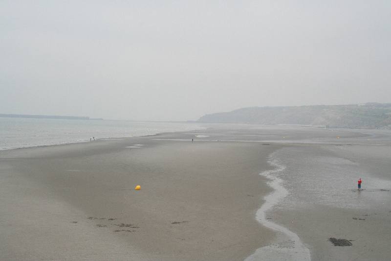 IMG 0319