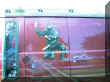 captures 2003-8-18 00020.JPG (76631 octets)
