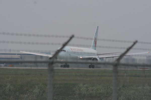 IMG 5595
