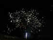 160_6051.JPG (33164 octets)