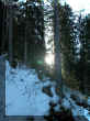 DSCN8893.JPG (88877 octets)