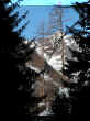 DSCN8904.JPG (73809 octets)