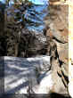 DSCN8907.JPG (105626 octets)