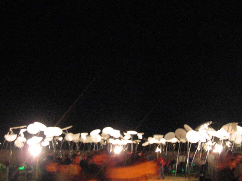 IMG 0951