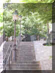 DSCN7737.JPG (200730 octets)