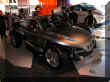 DSCN7771.JPG (43793 octets)