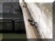 DSCN7797.JPG (52931 octets)