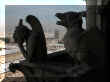 DSCN7820.JPG (28439 octets)