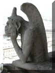 DSCN7821.JPG (75939 octets)