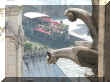 DSCN7827.JPG (41310 octets)