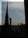 DSCN7830.JPG (35491 octets)