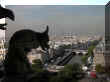DSCN7834.JPG (36246 octets)