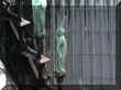 DSCN7835.JPG (36404 octets)