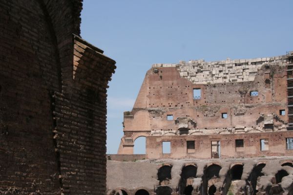 IMG 4521