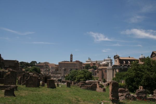 IMG 4554