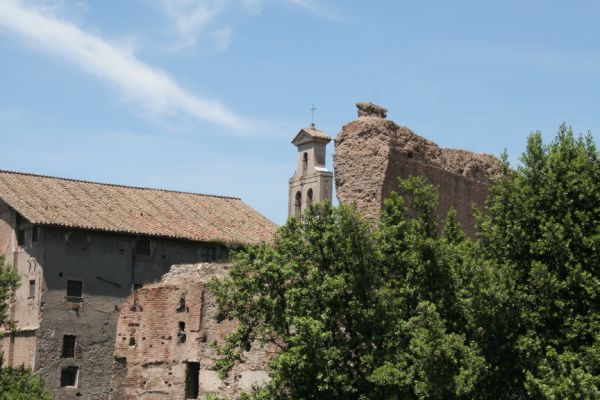 IMG 4557