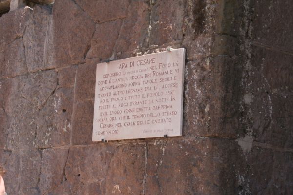 IMG 4568