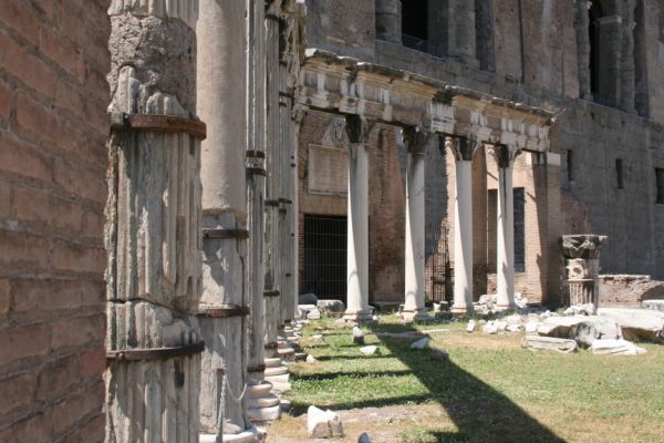 IMG 4588