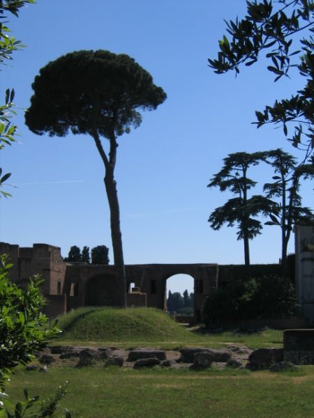 IMG 3887