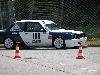 Cliquez ici pour voir l'image (DSCN9556.JPG)