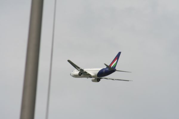 IMG 4479