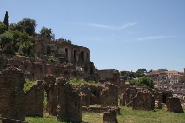 IMG 4555