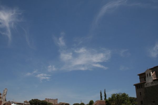 IMG 4570